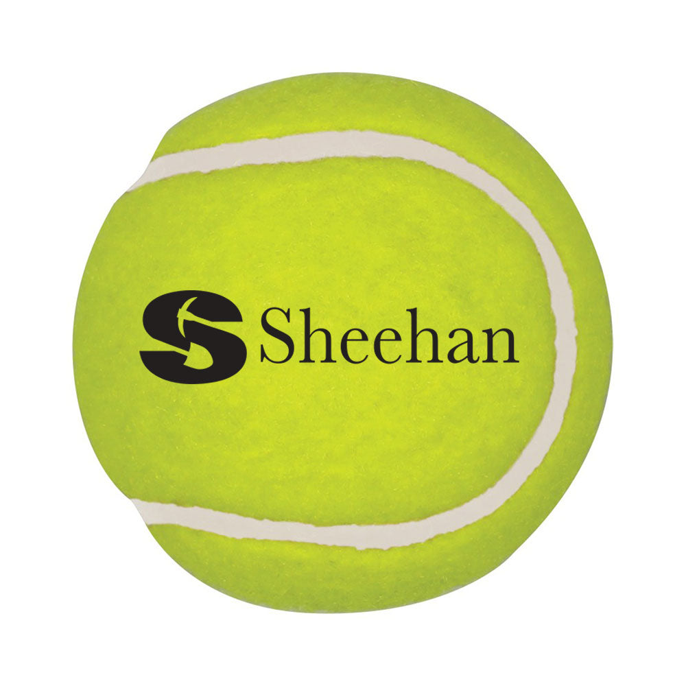 Pet Fetch Tennis Ball